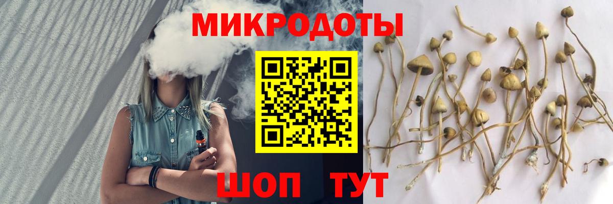Псилоцибиновые грибы Cubensis  Вход с VPN  Коммунар 